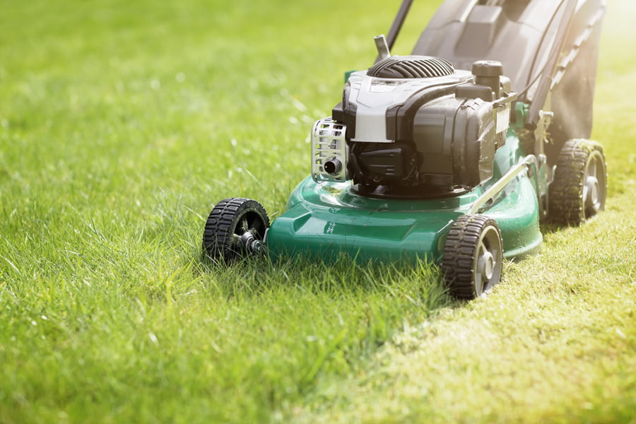 lawn mowing thunder bay