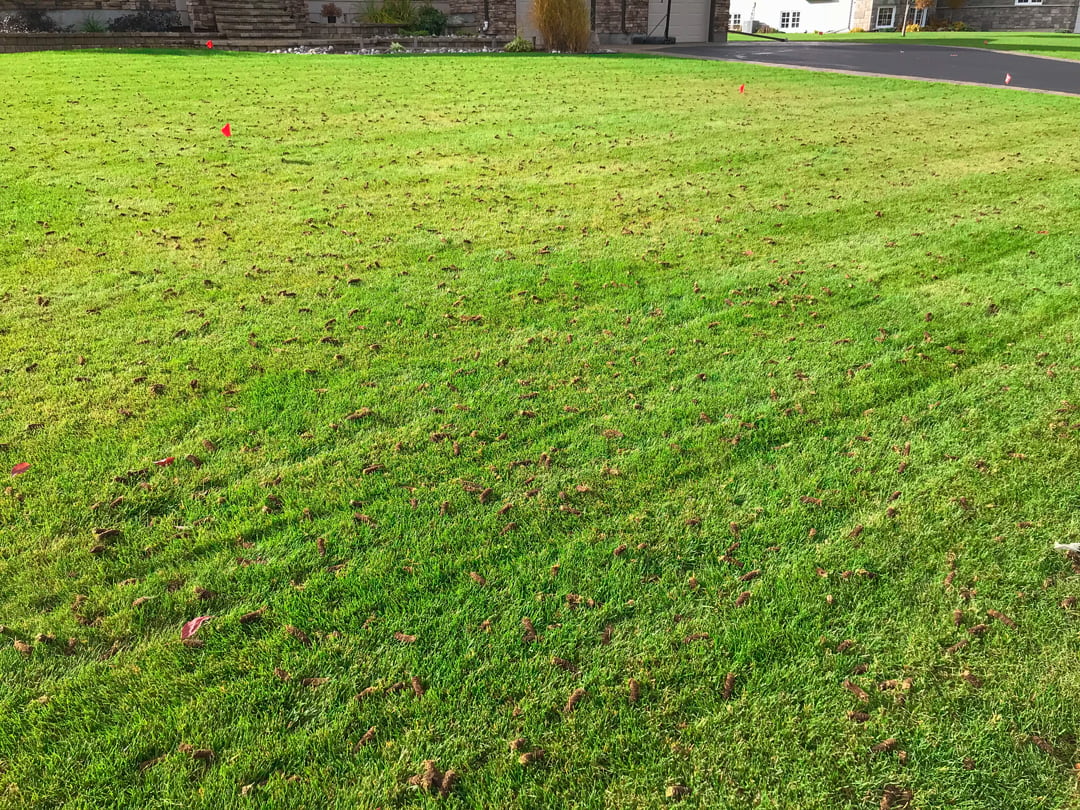 lawn mowing thunder bay